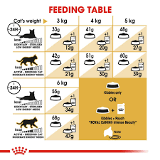 Royal Canin Feline Nutrition Siamese Adult Dry Cat Food 2kg